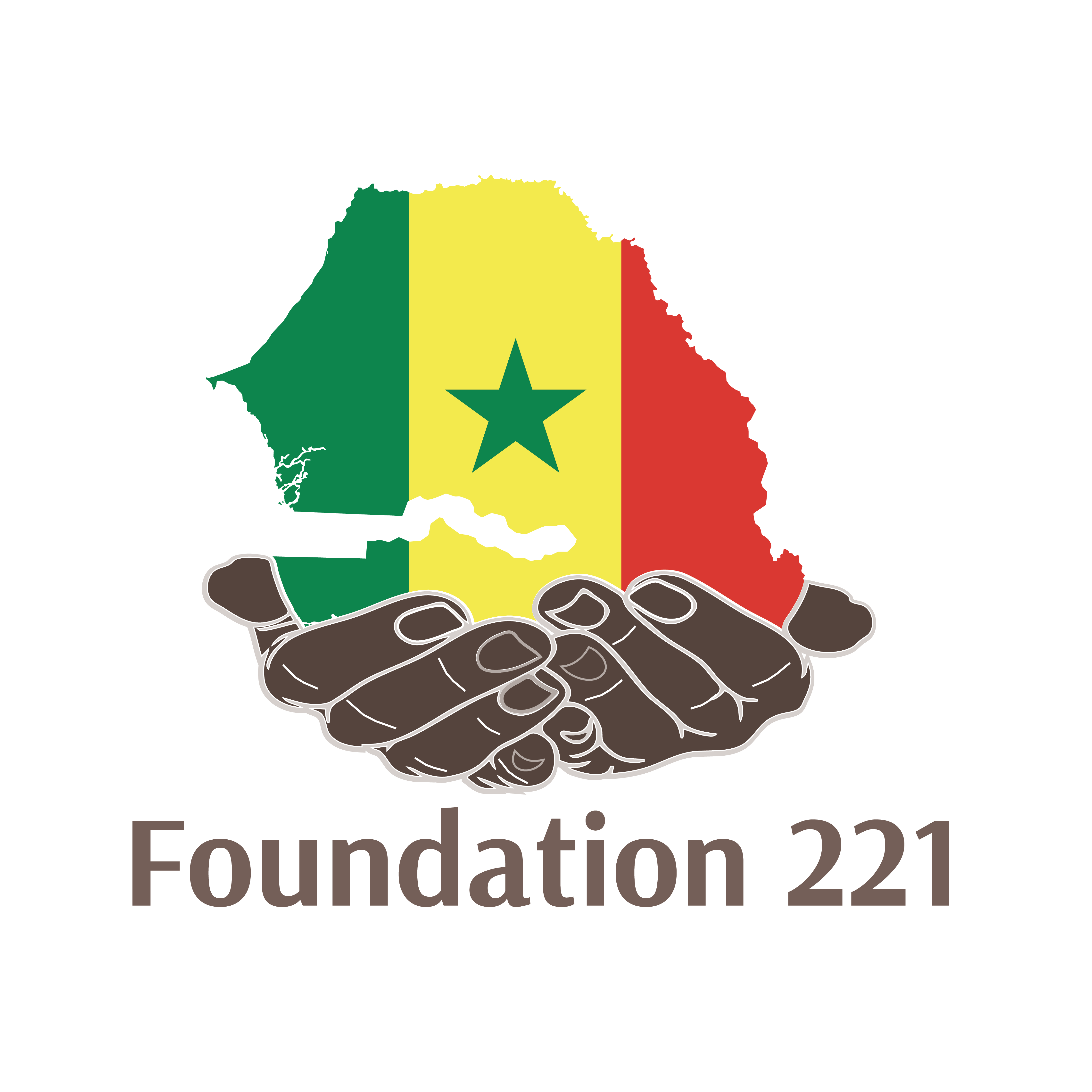 Foundation 221